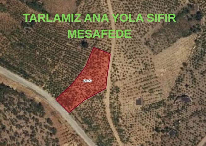 KONYA HADİM GÖYNÜKKIŞLA KÖYÜNDE 1.595 M² ÜZÜM BAĞIMIZ SATILIKTIR. - KONYA HADİM fotoğraf 7